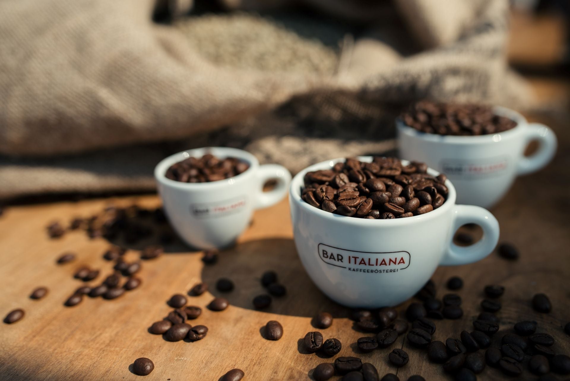 Was ist der Unterschied zwischen Arabica- und Robusta-Bohnen?