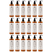 Die Losteria Seife Prija in der 380ml Flasche im 18er Vorteilspack inklusive Pumpspender