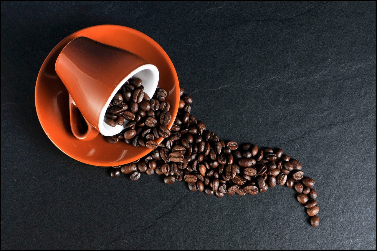 Was ist der Unterschied zwischen Arabica- und Robusta-Bohnen?