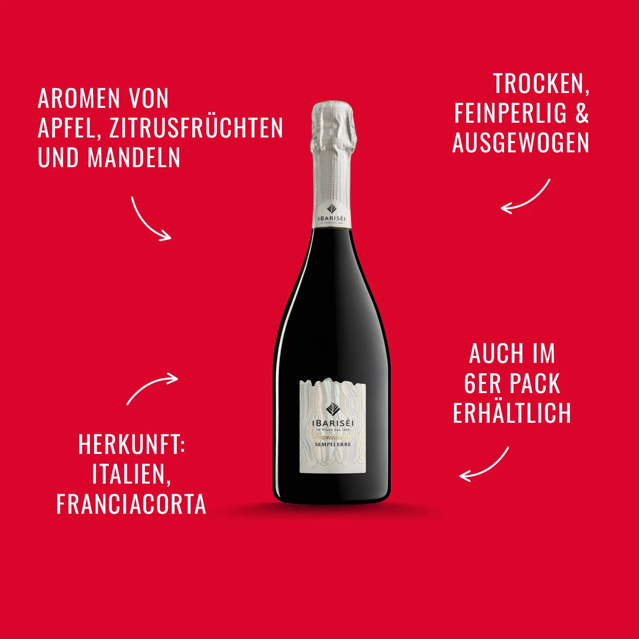 Franciacorta Sempiterre Docg Brut Cuvee | alc. 13%