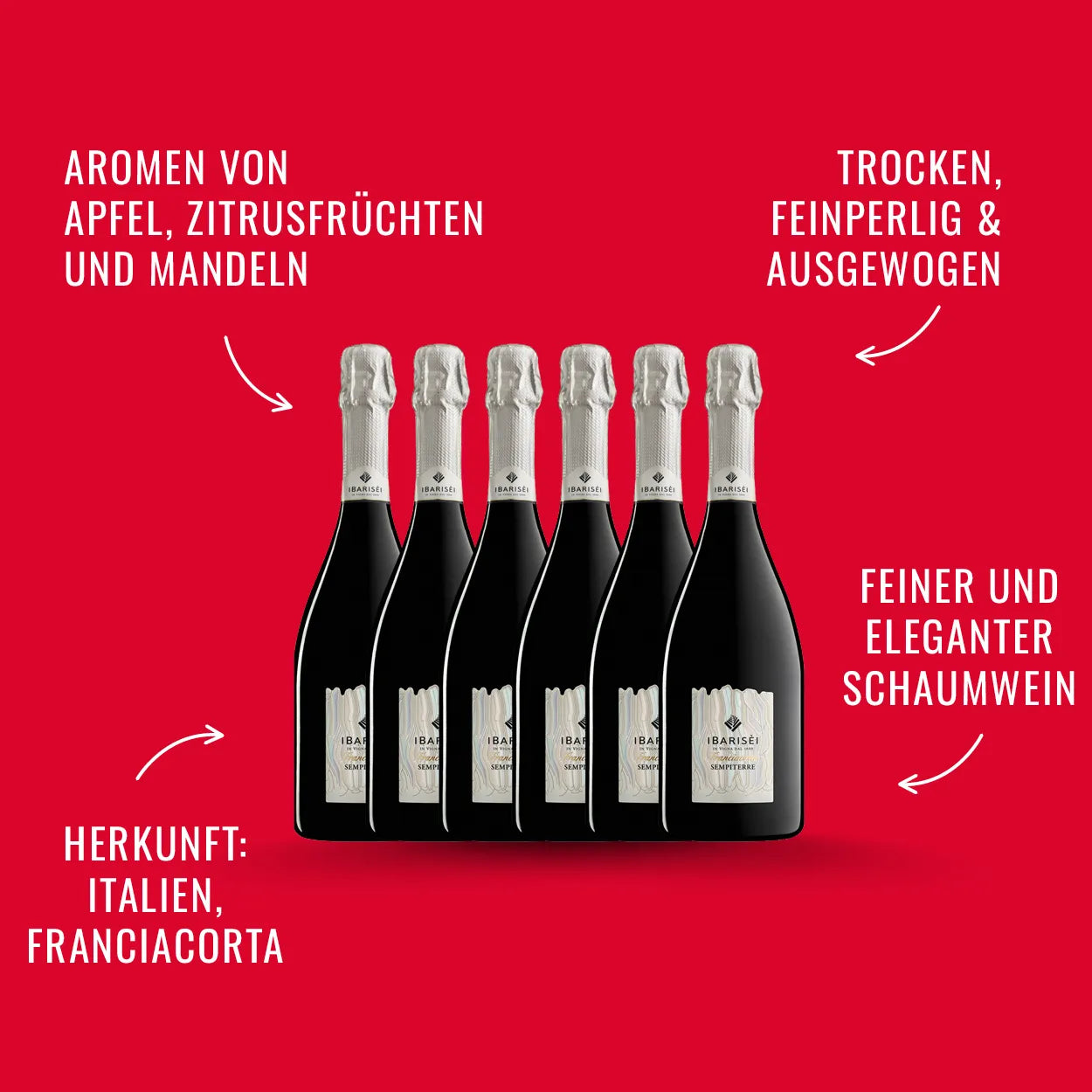 Franciacorta Sempiterre Docg Brut Cuvee 6 Fl. | alc. 13%
