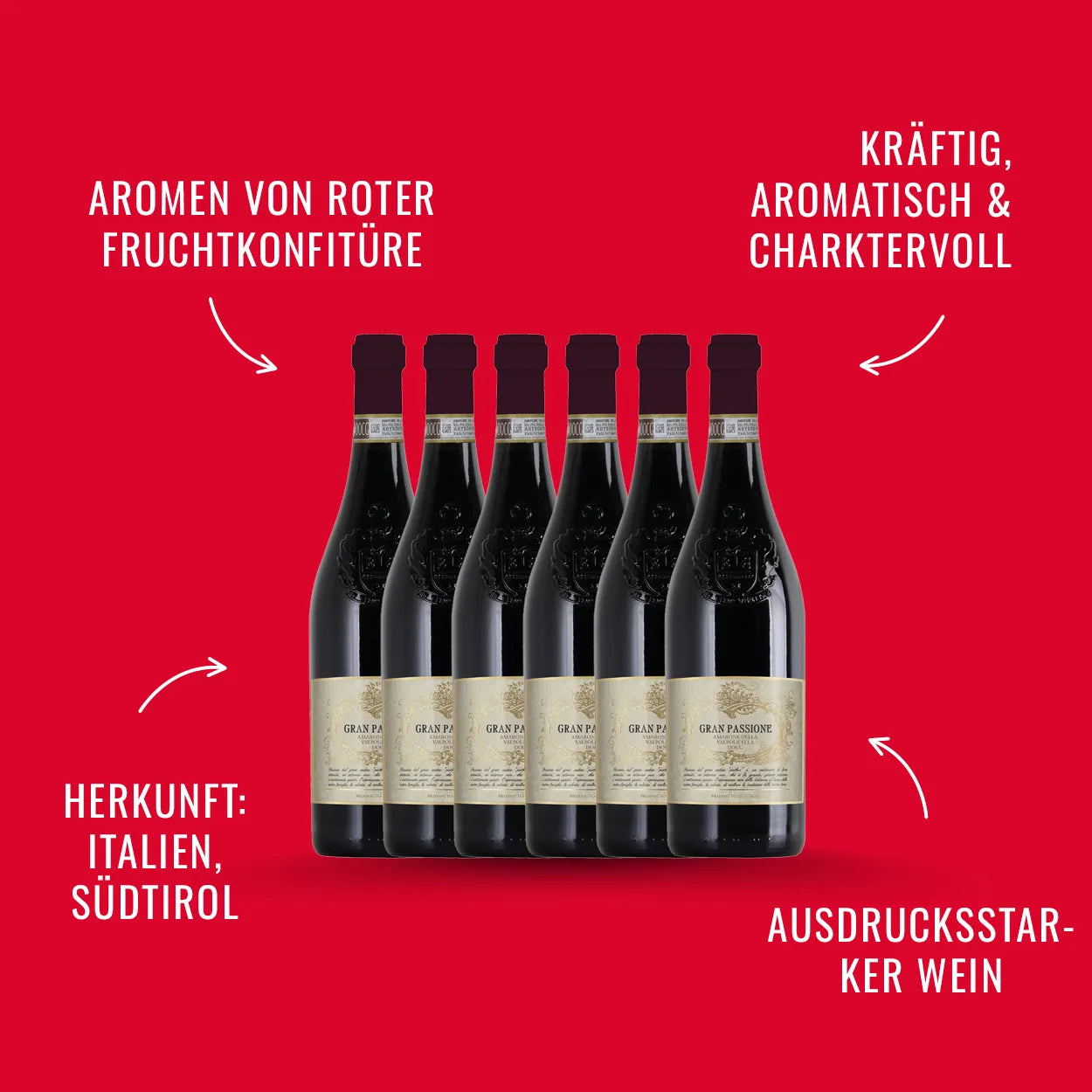 Gran Passione Amarone Della Valpolicella, 6 Fl. | alc. 15%