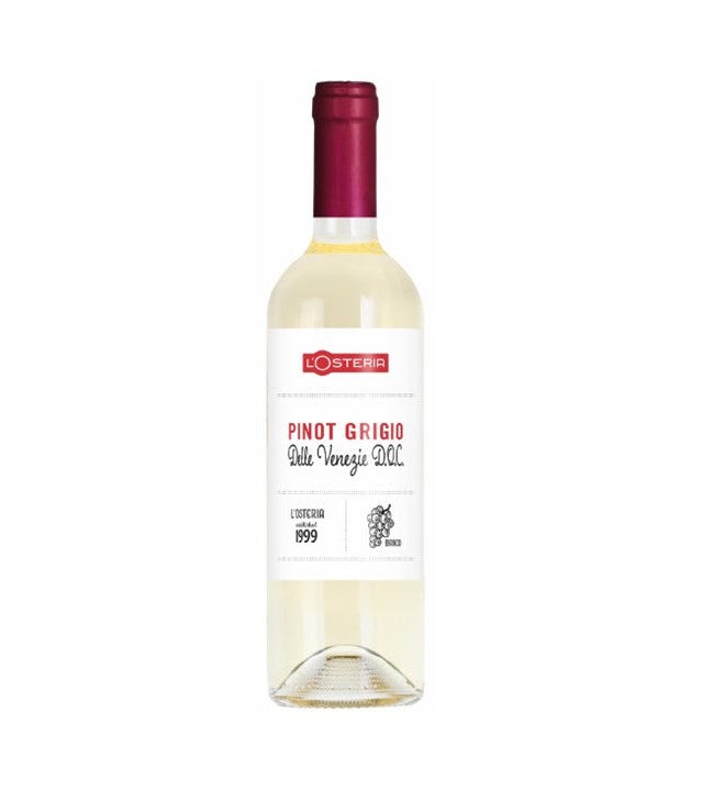 Pinot Grigio Delle Venezie Doc 6 Fl. | alc. 12%