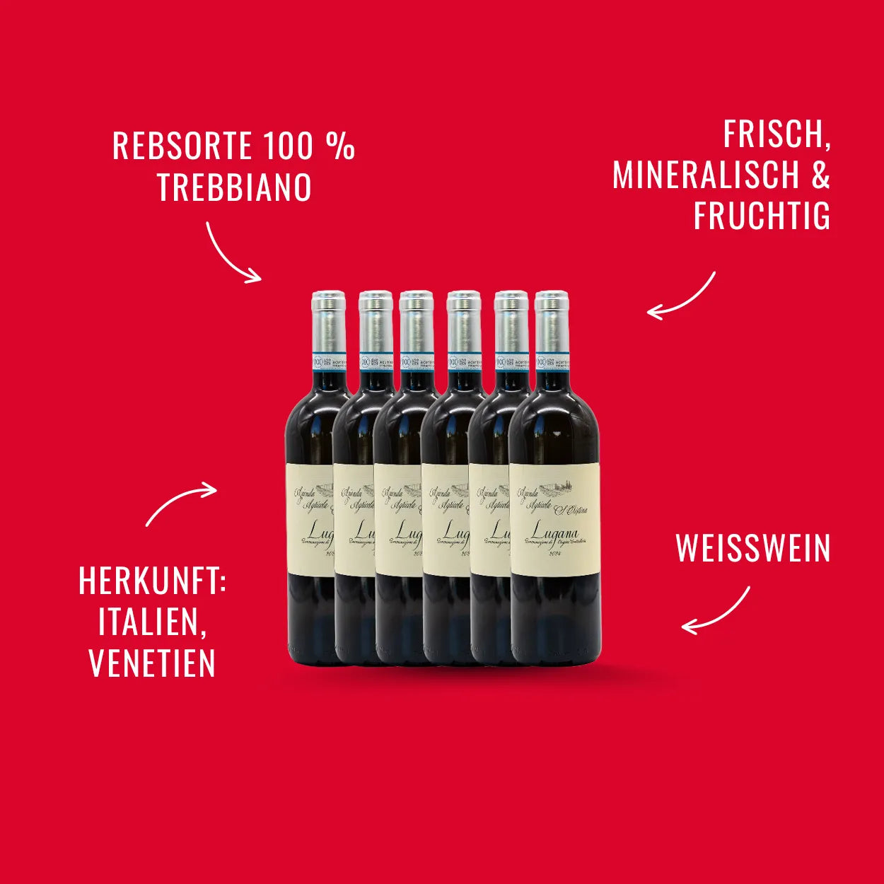Lugana S. Christina DOC Zenato, 6 Fl. | alc. 13%