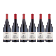 Lagrein Südtirol DOC, 6 Fl. | alc. 13,5%